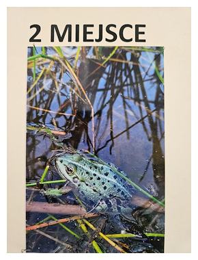 Konkurs fotograficzny